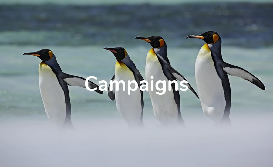 MDB_campaigns MDB_campaigns
