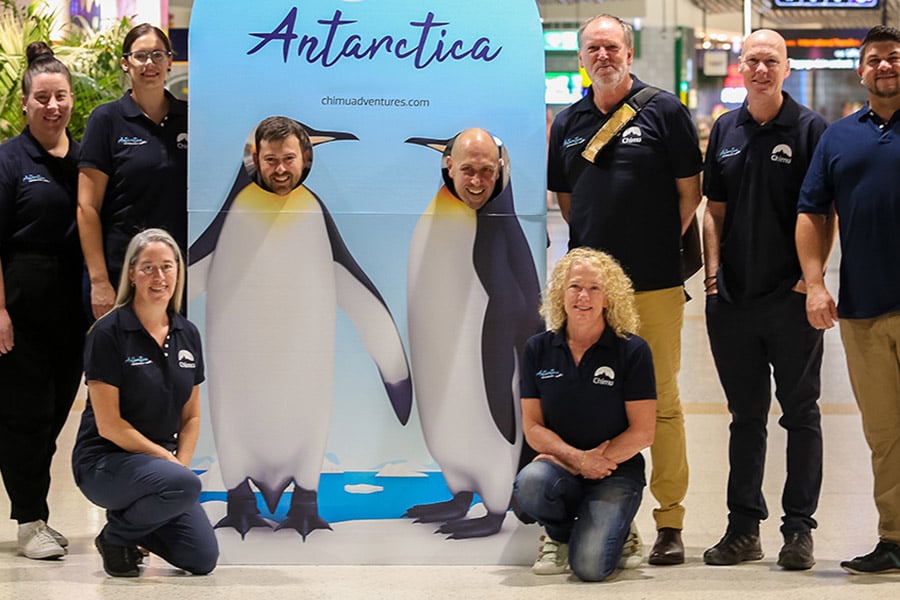Meet The Team