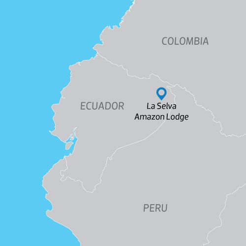 map map