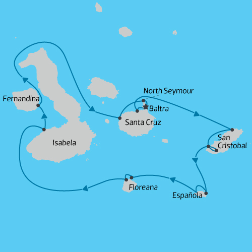 map map