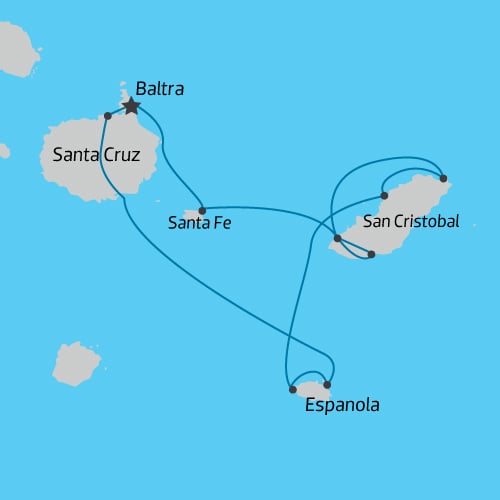 map map