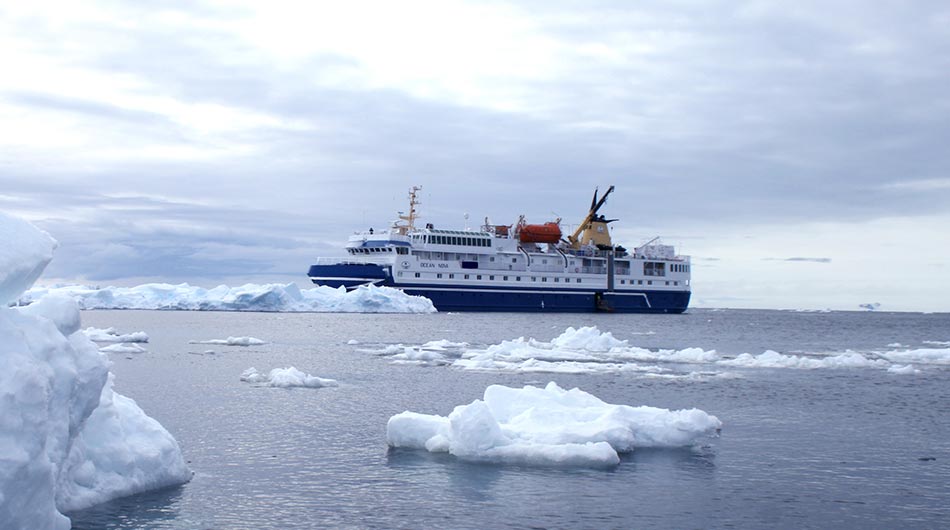Ocean Nova in Antarctica Ocean Nova in Antarctica