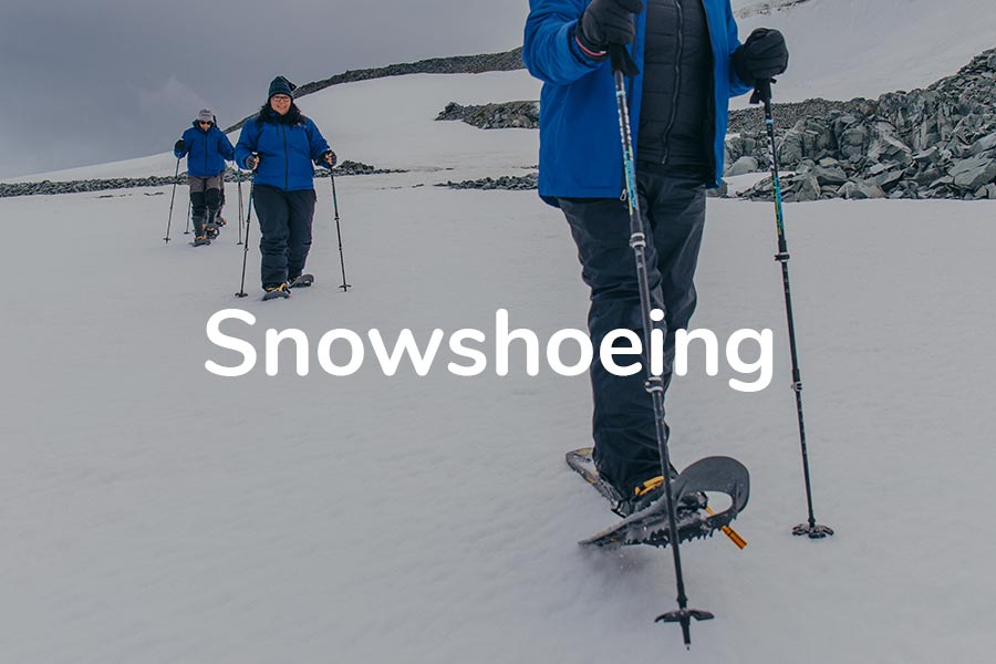 Snowshoe Snowshoe