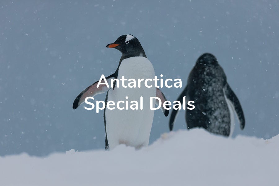 AntarcticaSpecialDeals AntarcticaSpecialDeals