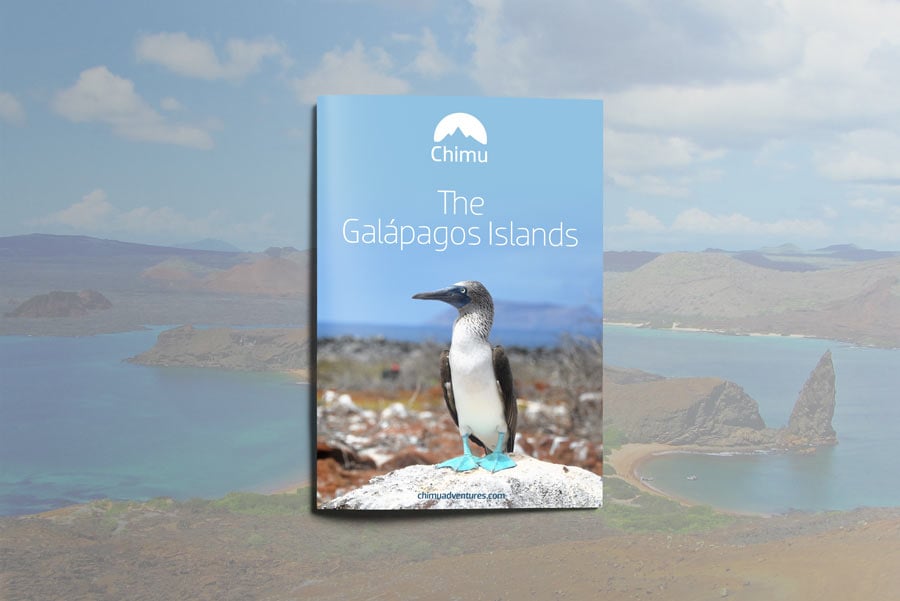 MDB_GalapagosCover2025 MDB_GalapagosCover2025