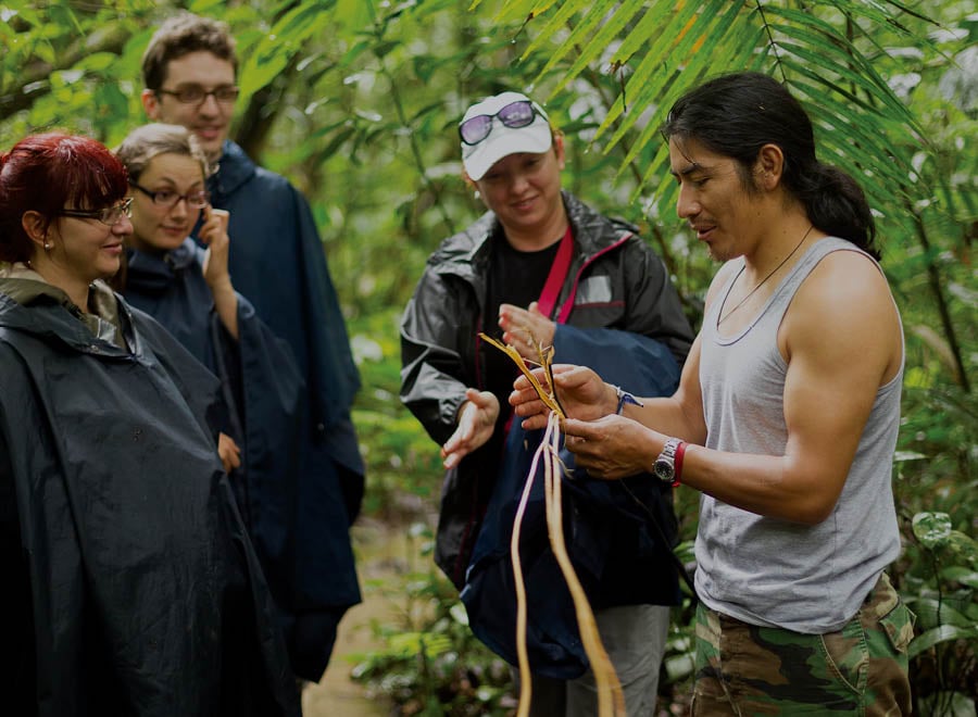 supplyChain2_0 Image of a forest representing Chimu Adventure's Sustainability and Responsible travel guidelines