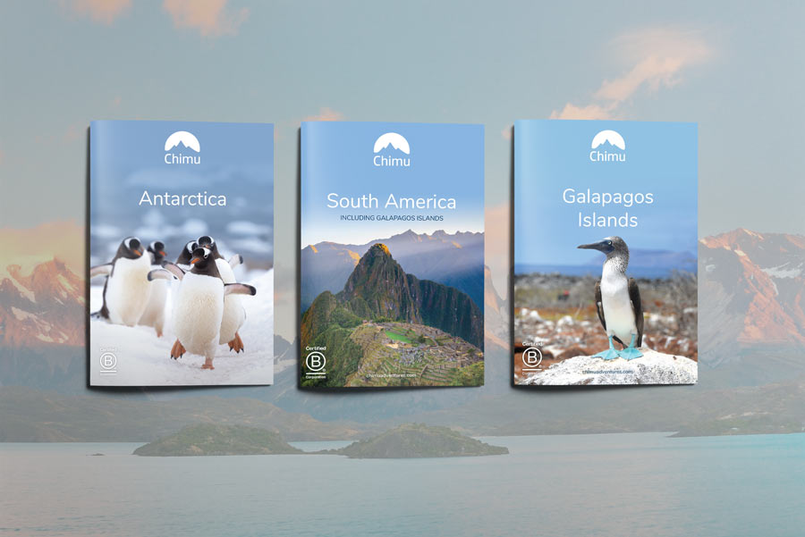 Cover-3x-A4-Brochure-Flaylay Cover-3x-A4-Brochure-Flaylay