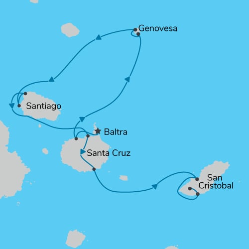 map map
