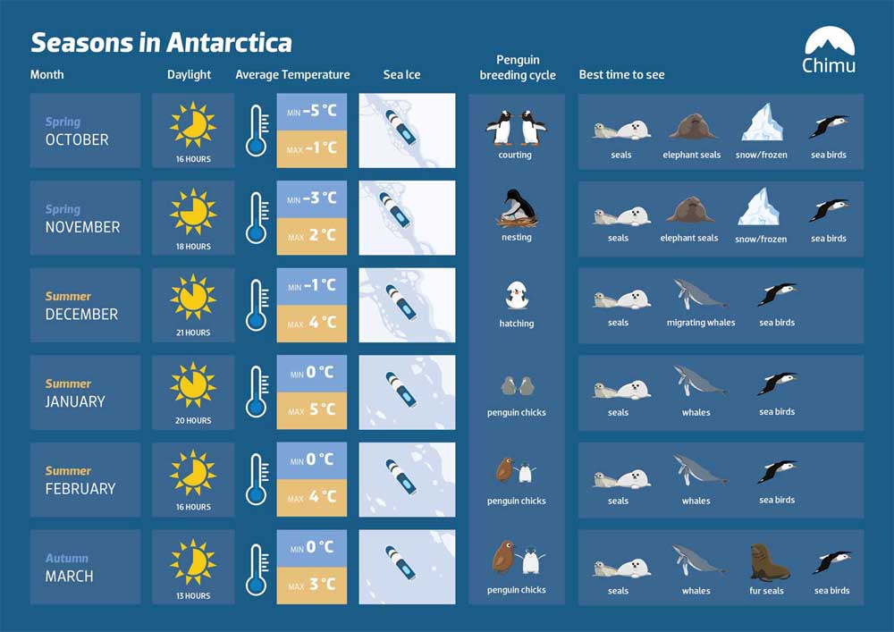 Infographic of best seasons to visit Antarctica
