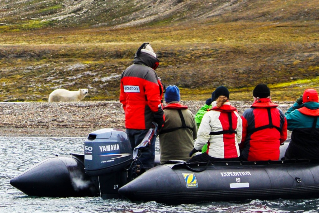 Travellers in a zodiac seeing a polar bear Travellers in a zodiac seeing a polar bear