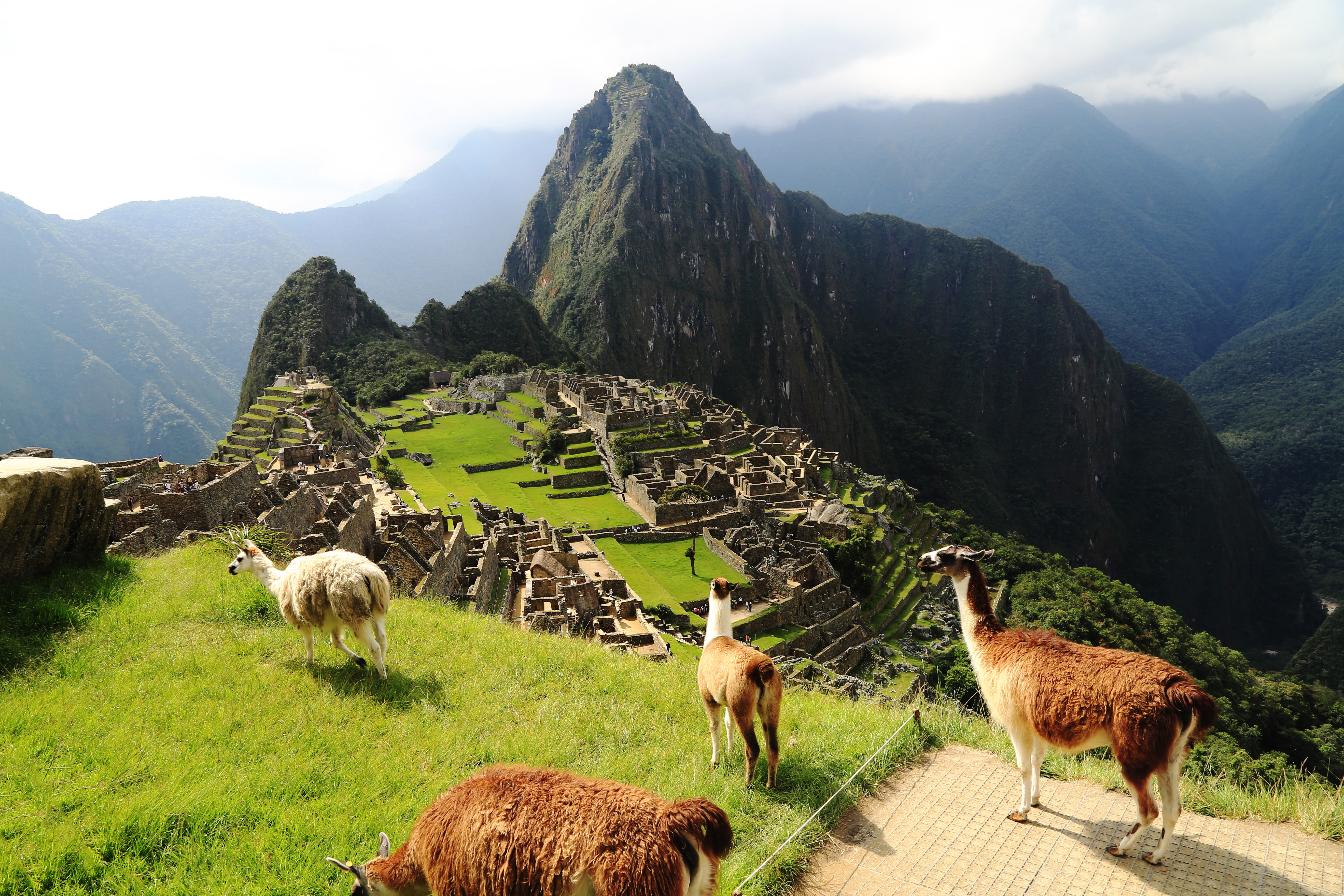 Iconic views of Machu Picchu iconic views of Machu Picchu