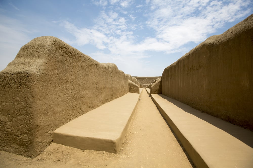 The initial success of the Chimu was due to their irrigation system The initial success of the Chimu was due to their irrigation system