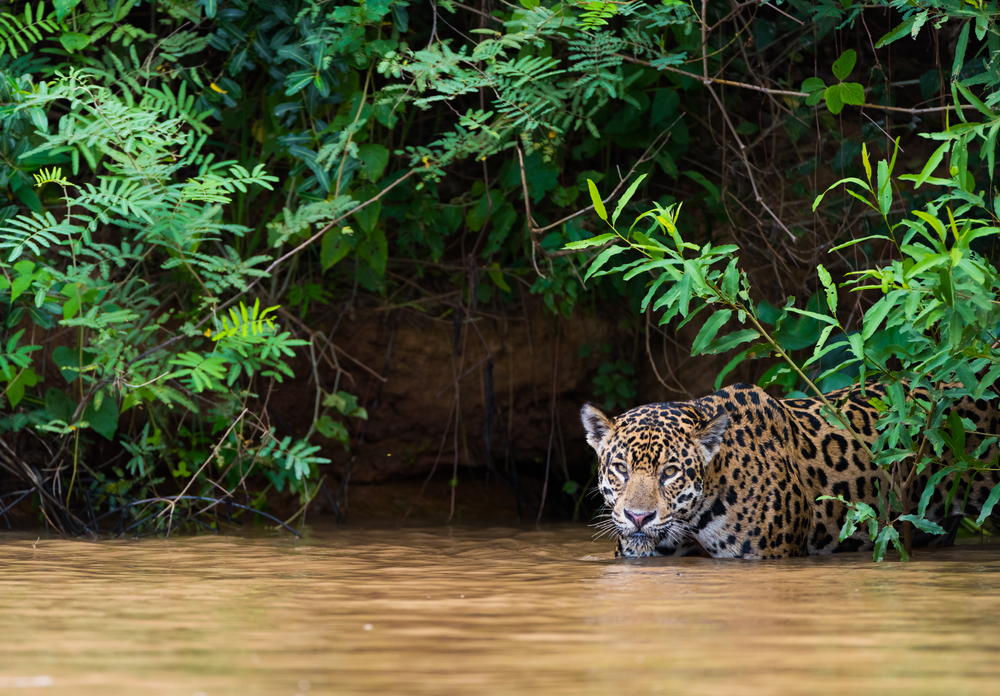 The Weather in Brazil | Chimu Adventures