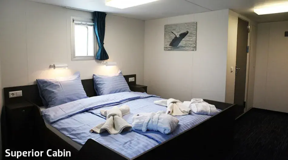 Ortelius Superior Cabin: ctsy of Oceanwide Expeditions Ortelius Superior Cabin