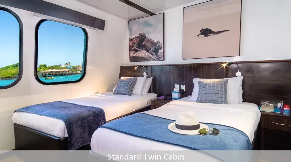 Natural Paradise Galapagos Cruise - Twin Stateroom Cabin Natural Paradise Galapagos Cruise - Twin Stateroom Cabin