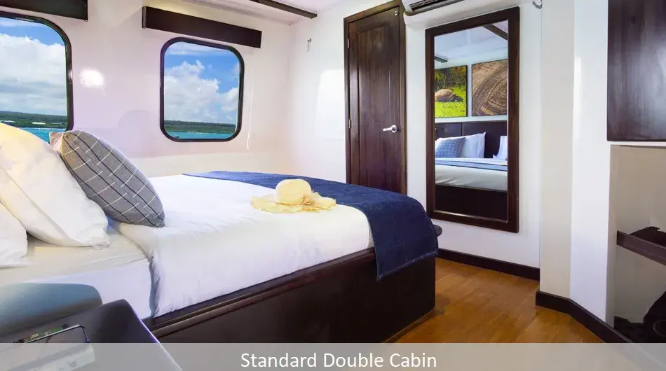 Natural Paradise Galapagos Cruise - Suite Cabin Natural Paradise Galapagos Cruise - Suite Cabin