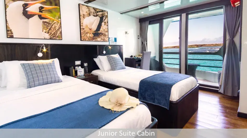 Natural Paradise Galapagos Cruise - Junior Suite Natural Paradise Galapagos Cruise - Junior Suite