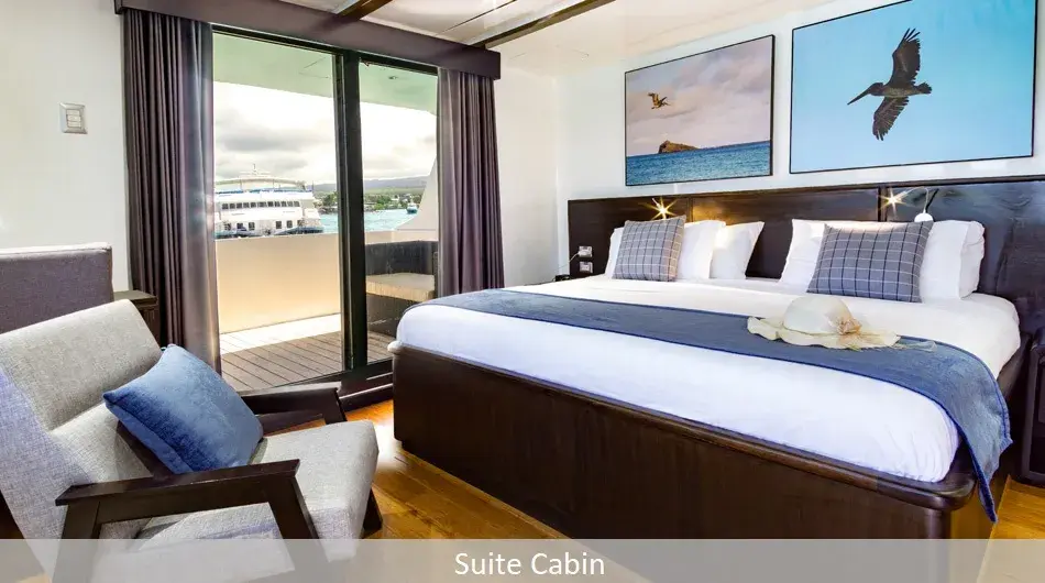 Natural Paradise Galapagos Cruise - Suite Cabin Natural Paradise Galapagos Cruise - Suite Cabin