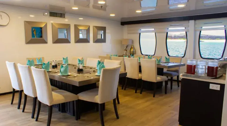 alya-dining-room alya-dining-room