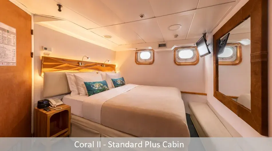 Coral2Standardplus_0 Coral2Standardplus_0