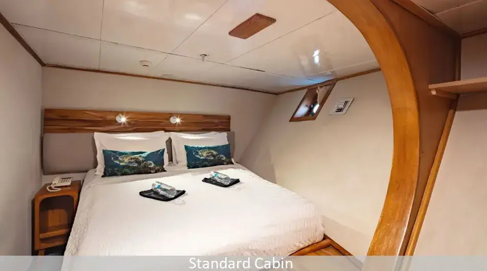 Standard-cabin_0 Standard-cabin_0