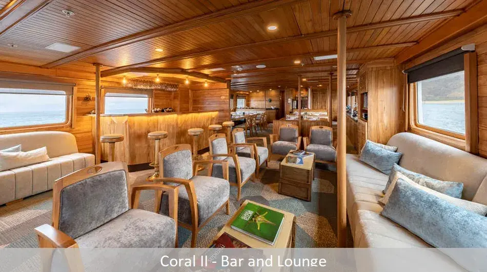 bar&loungecoralii_0 bar&loungecoralii_0