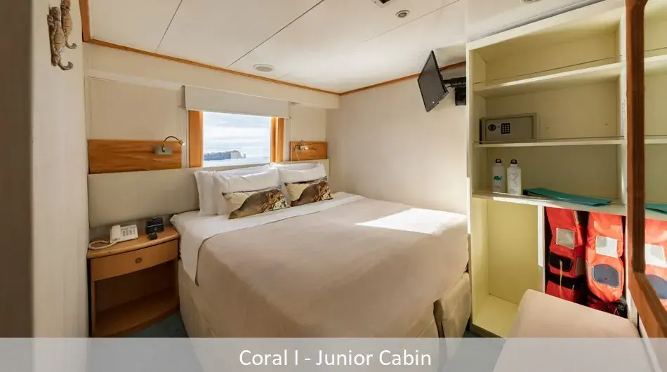 coral1Junior_0 coral1Junior_0
