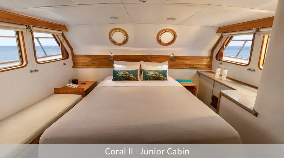 coral2Junior_0 coral2Junior_0