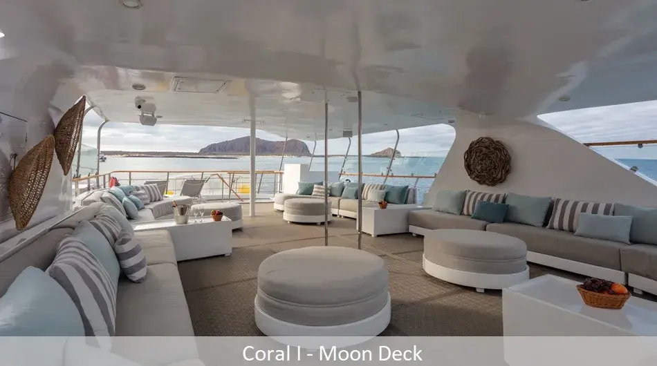 coralibbqmoondeck_0 coralibbqmoondeck_0