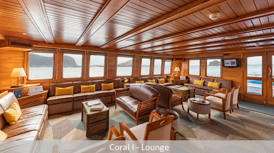loungecorali_0 loungecorali_0