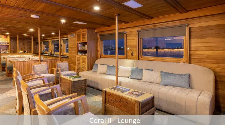 loungecoralii-(1) loungecoralii-(1)