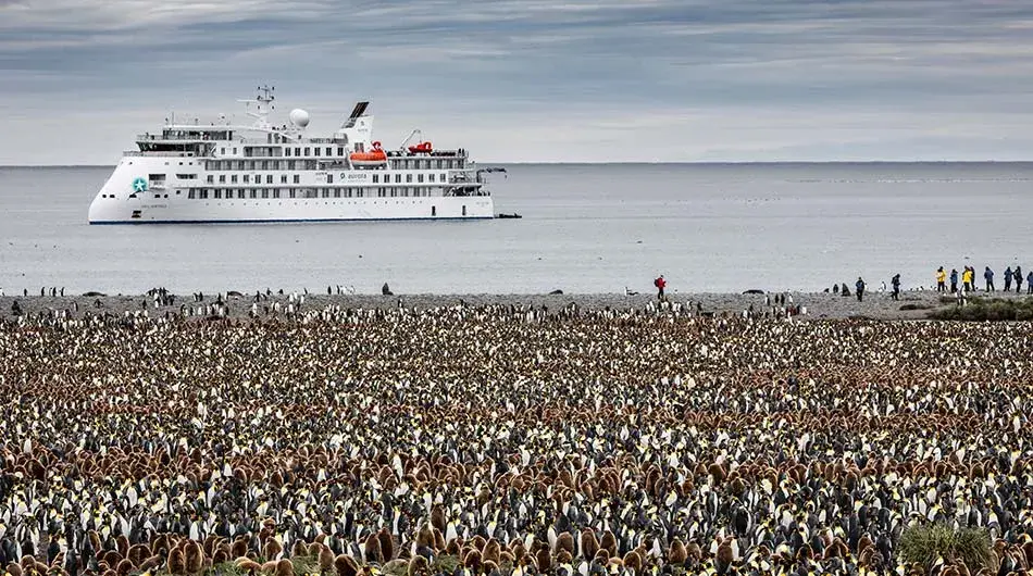 Greg Mortimer Ship and King Penguins Greg Mortimer Ship and King Penguins in Antarctica
