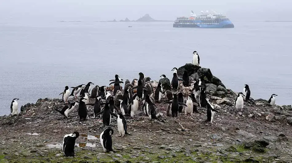 albatros-ov-ext-peng albatros-ov-ext-peng