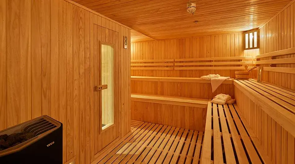 Magellan Explorer Sauna Magellan Explorer Sauna