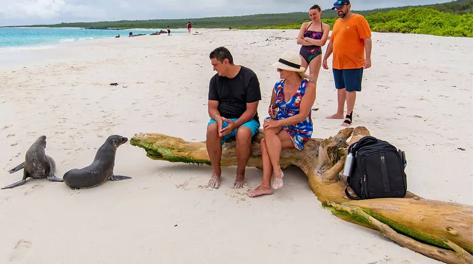Monserrat Galapagos Cruise Ship - guest experience Monserrat Galapagos Cruise Ship - guest experience