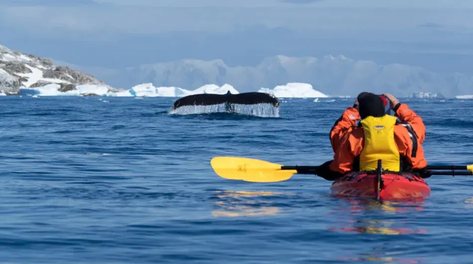 kayaking4 kayaking in Antarctica
