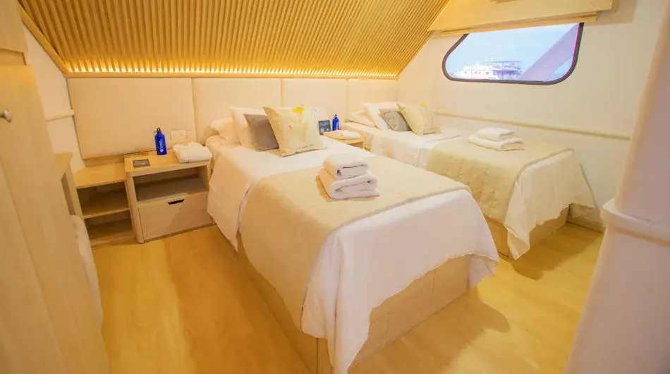 Twin cabin, Seaman Journey Twin cabin, Seaman Journey