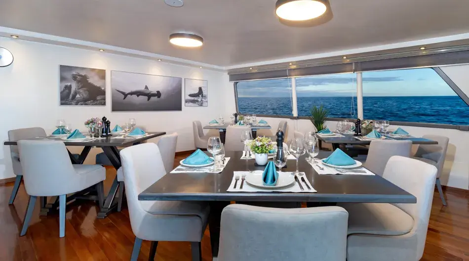 Horizon Trimaran Dining Tables Horizon Trimaran Dining Tables