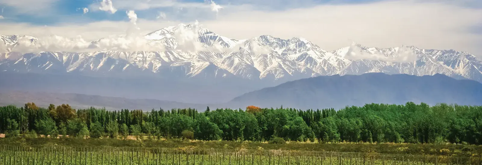 A scenic landscape