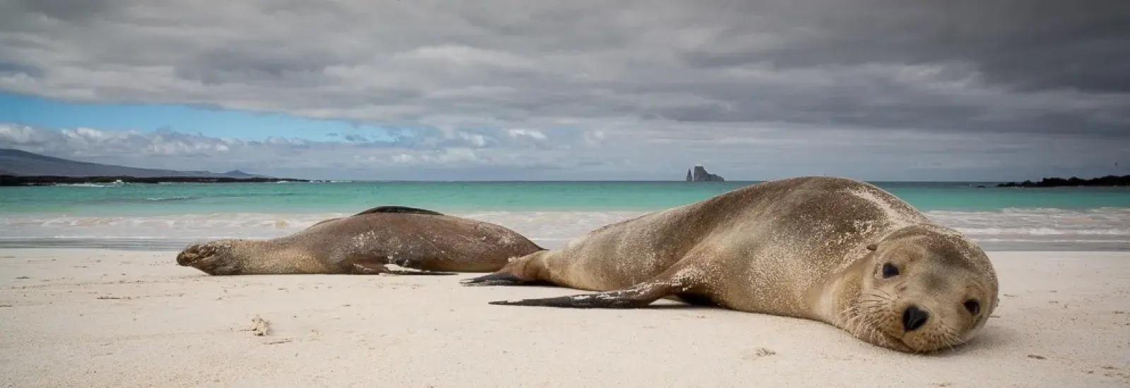 Western Islands Cruise | Calipso Western Islands Cruise | Calipso