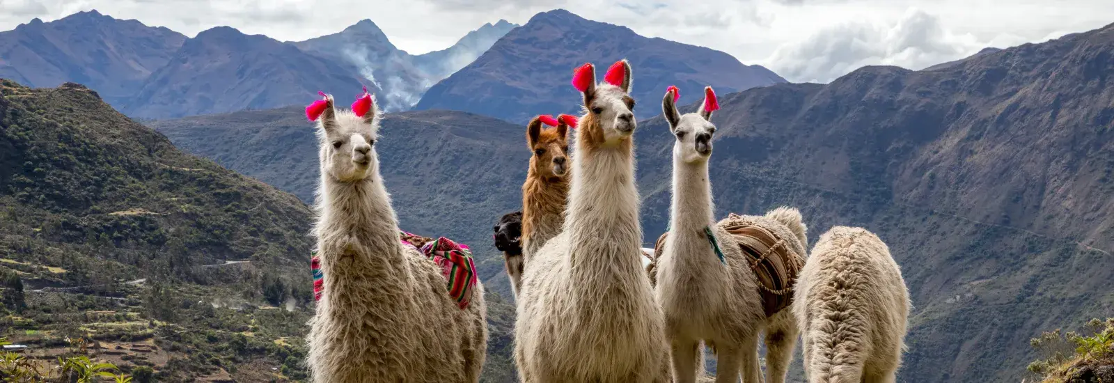 Mountain Lodges of Peru - Lares 6 Day Mountain Lodges of Peru - Lares 6 Day