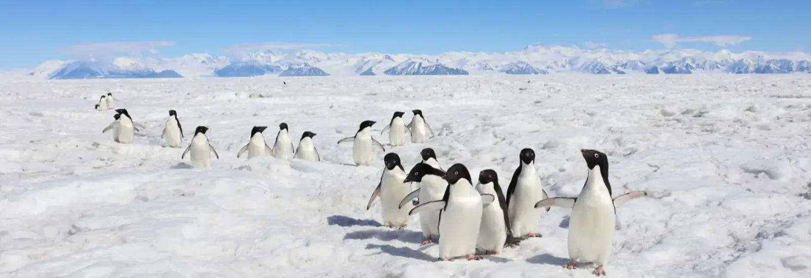 In the Wake of Scott and Shackleton | Heritage Adventurer In the Wake of Scott and Shackleton | Heritage Adventurer