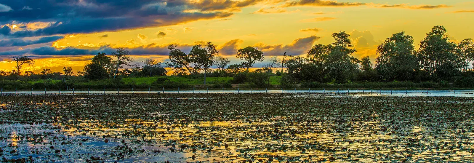 Amazon River Cruise | M/Y Tucano Amazon River Cruise | M/Y Tucano