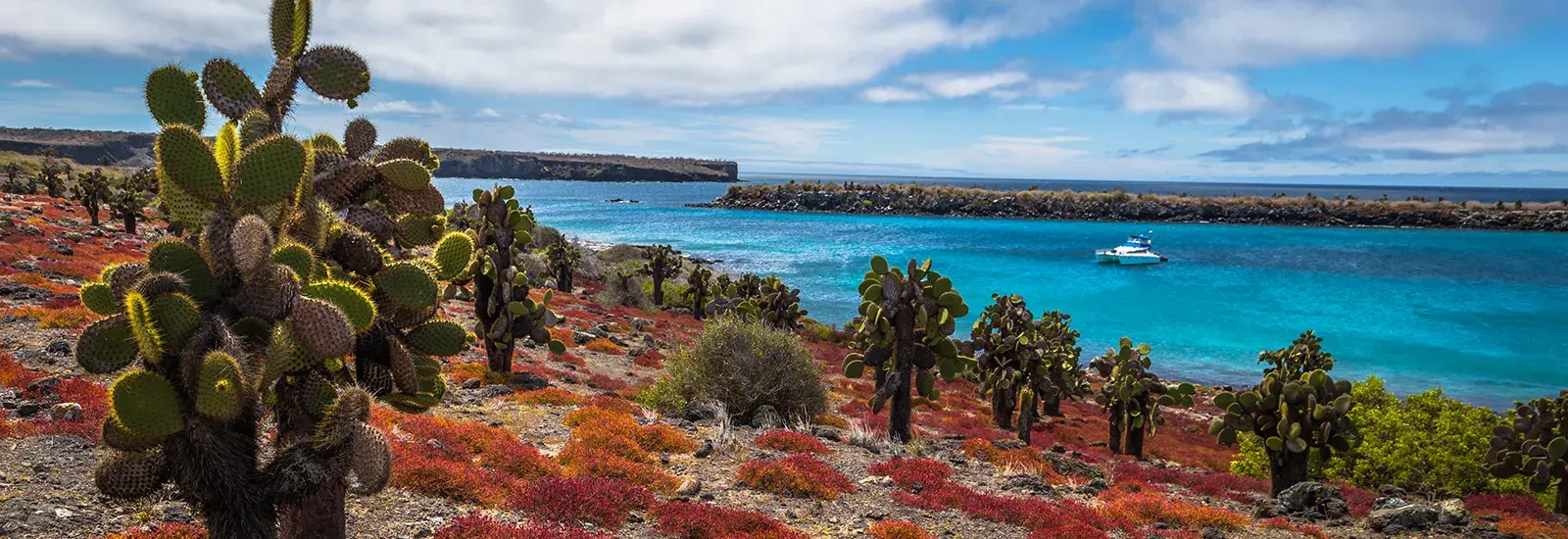 Galapagos 5 Day Cruise | Galaxy Yacht Galapagos 5 Day Cruise | Galaxy Yacht