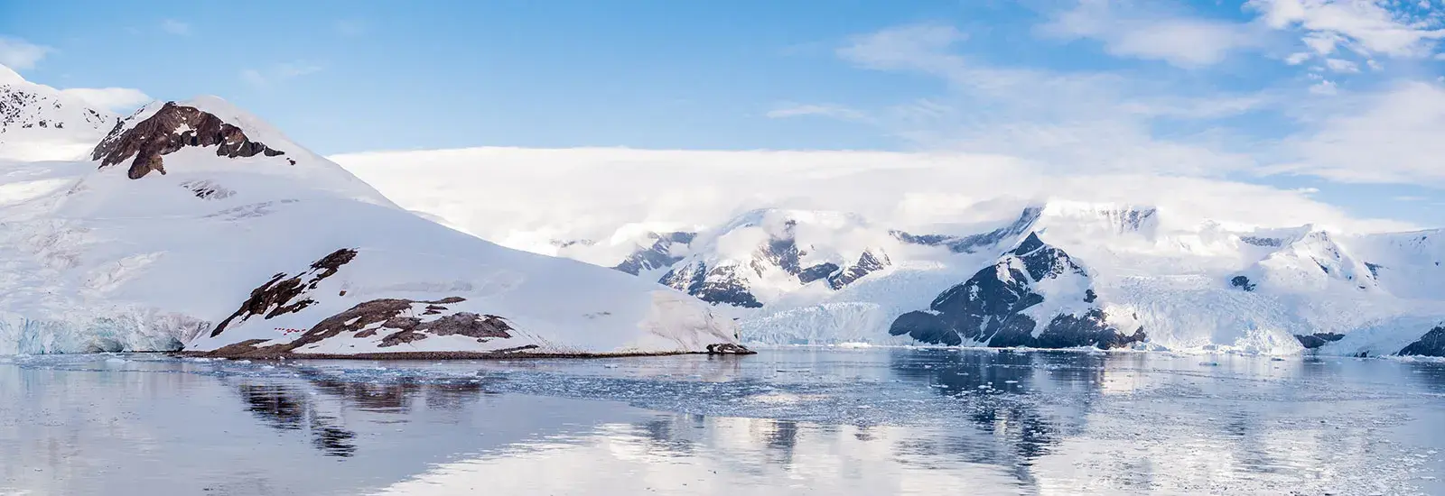 Polar Circle - Deep South Discovery | Ortelius Polar Circle - Deep South Discovery | Ortelius