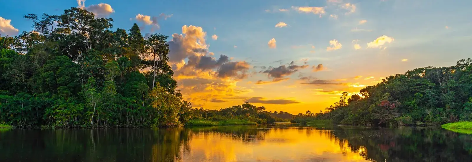 Brazil Amazon Extension | Juma Lodge Brazil Amazon Extension | Juma Lodge