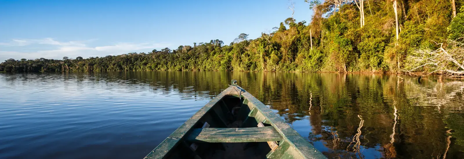 Amazon_shutterstock_223517755.jpg Amazon_shutterstock_223517755.jpg