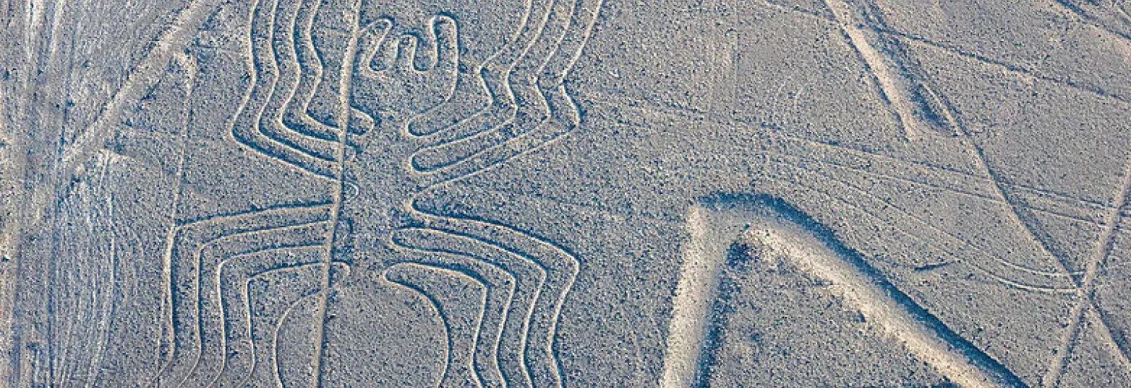 L%C3%ADneas_de_Nazca_Nazca_Per%C3%BA_2015-07-29_DD_54.jpg L%C3%ADneas_de_Nazca_Nazca_Per%C3%BA_2015-07-29_DD_54.jpg