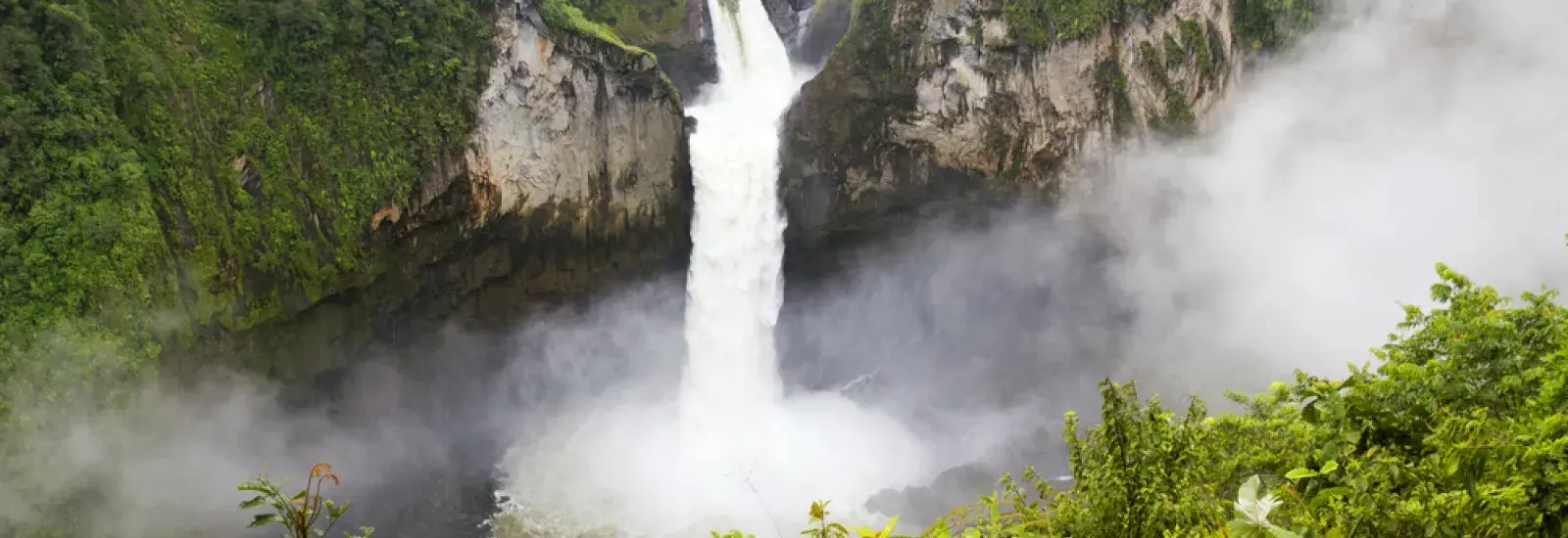 Rainforest_Amazon_Shutterstock.jpg Rainforest_Amazon_Shutterstock.jpg