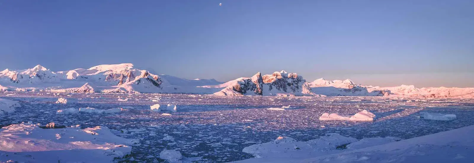 Emblematic Antarctica | Le Lyrial Emblematic Antarctica | Le Lyrial